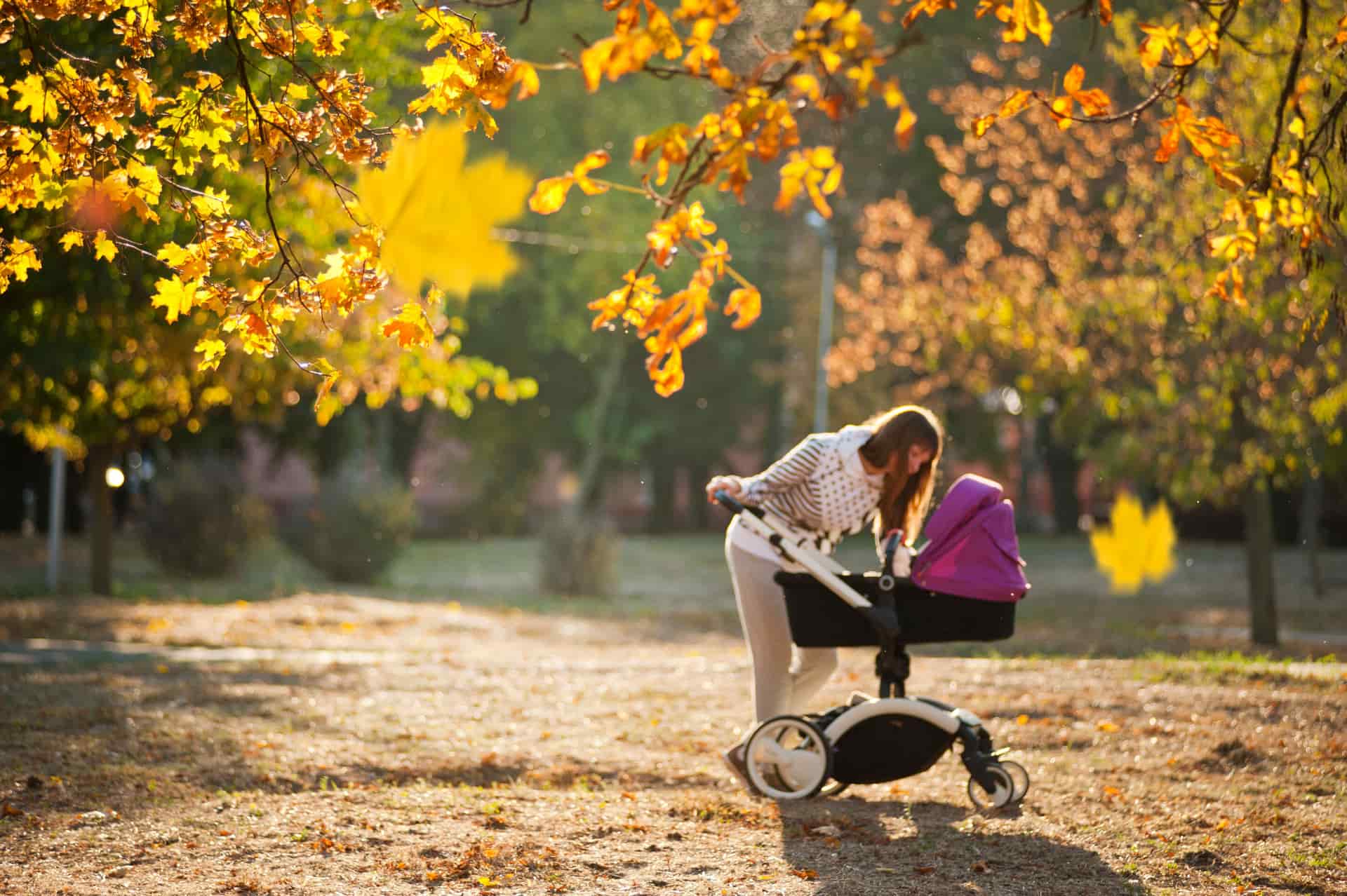 A parent pushing a baby stroller along a sunlit sidewalk